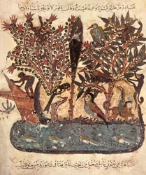 An Island in the Indian Ocean: The Boat is Caught in the Storm, Passengers Approach an Island Populated by Monkeys, Birds, and Hybrid Fabulous Animals, from Al Maqamat by Al Hariri